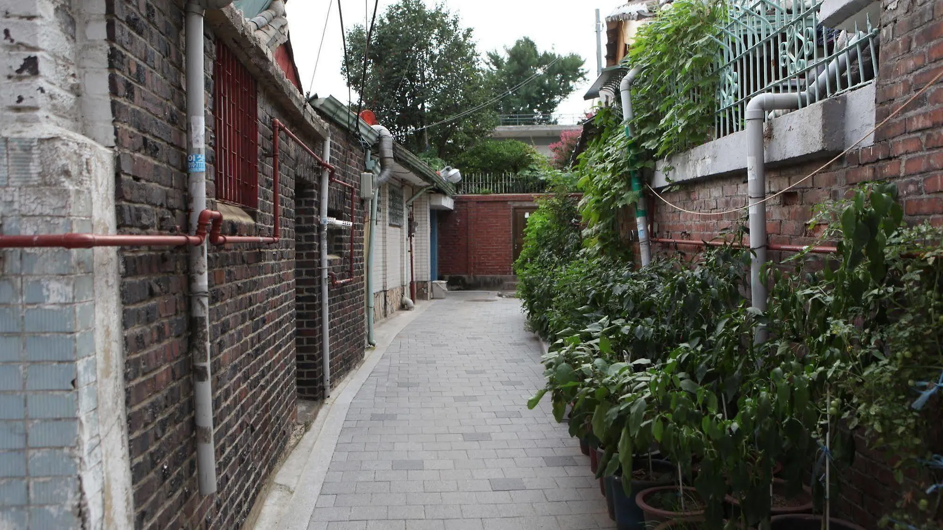 Hans House Seul 2*,  Korea Południowa
